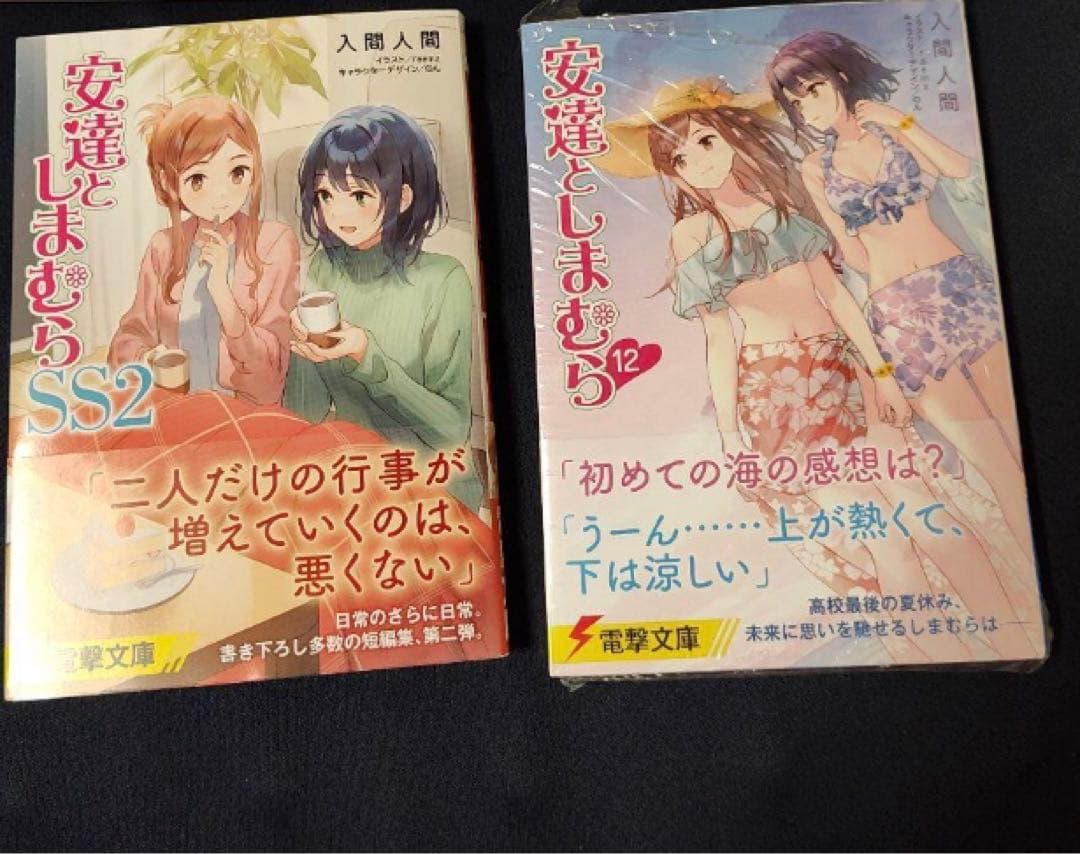 安達としまむら 12  SS2 ゲーマーズ 超限定版