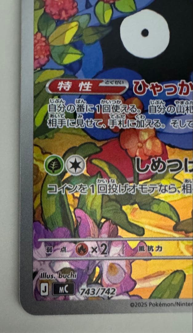 美品　エリカのモンジャラ
