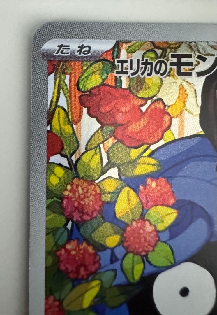 美品　エリカのモンジャラ