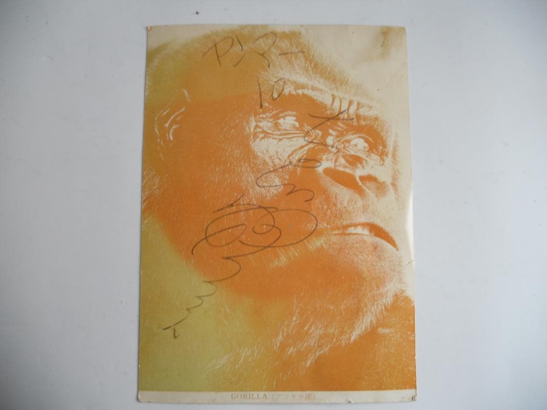 昭和レトロ ヤンマー サッカー選手 サイン ネルソン吉村 他