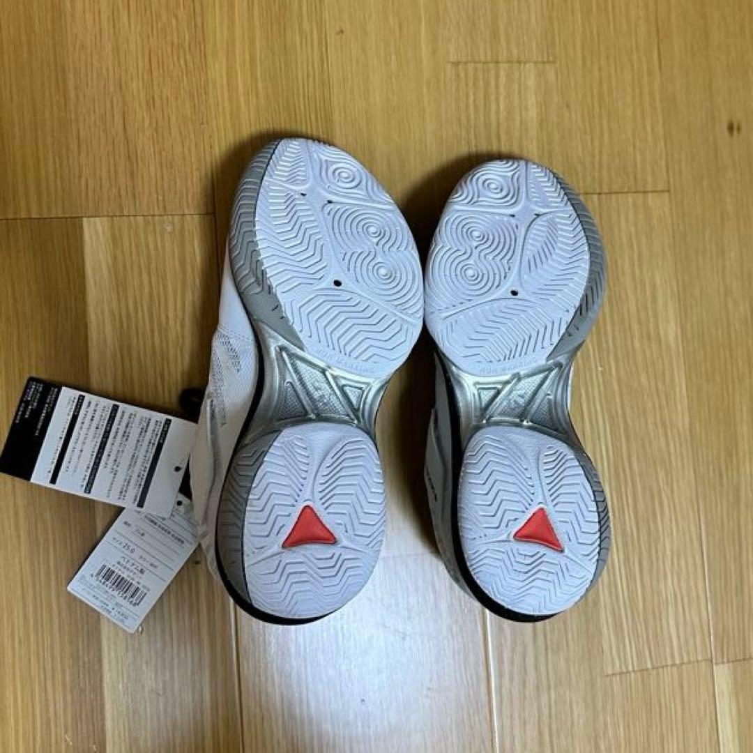 未使用タグ付き　DESCENTE バレーボールシューズ ホワイト　　25㎝