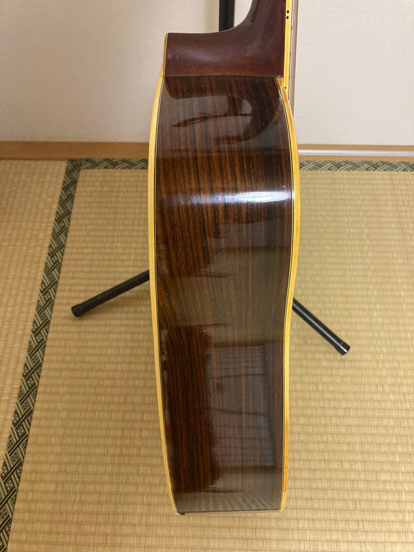 Morris アコースティックギターW-35