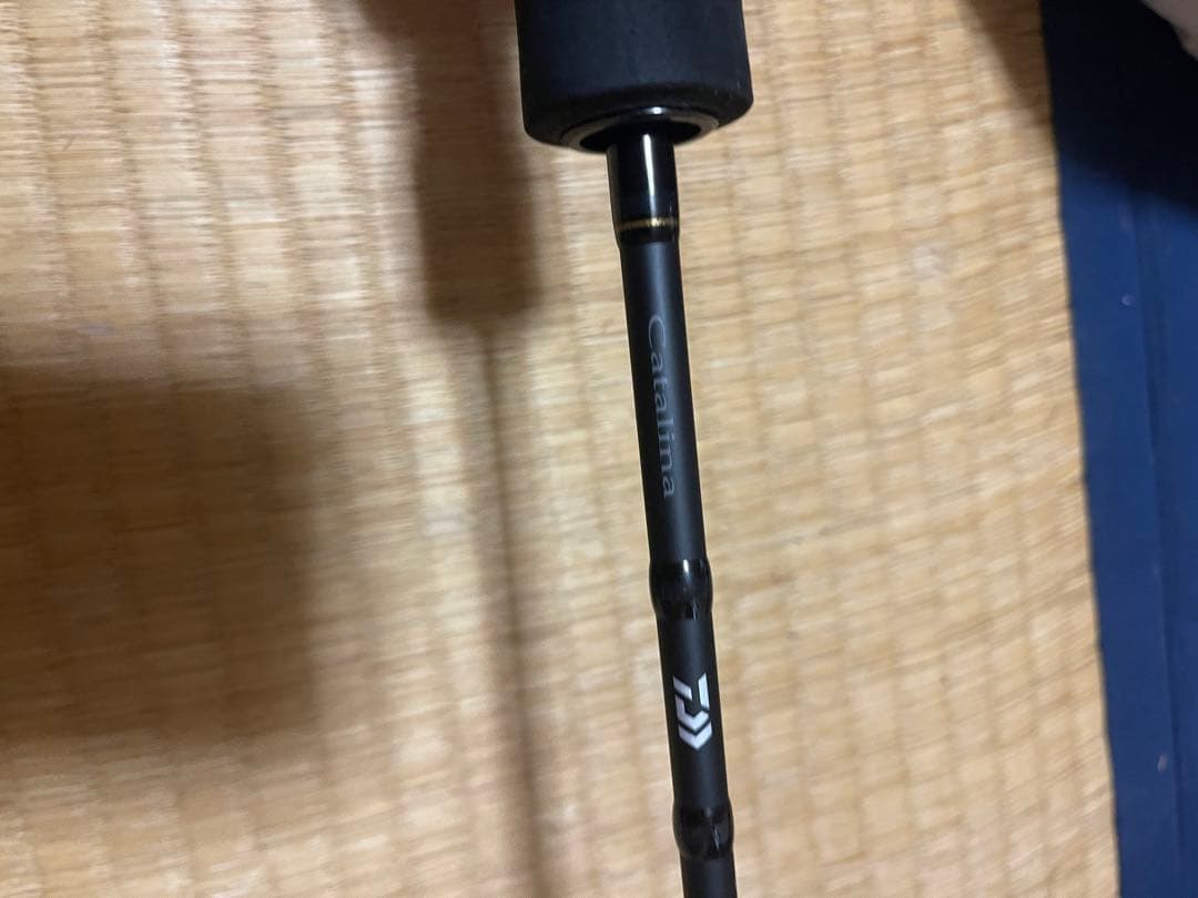 Daiwa キャタリナ60B-5 ジギングロッド