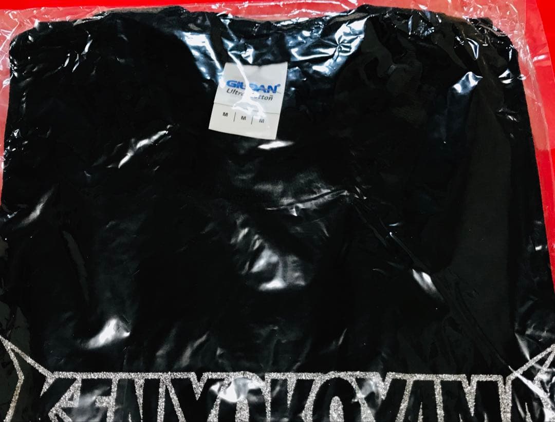 新品 KEN YOKOYAMA 横山 健『RagsツアーⅤ』銀ラメTシャツM