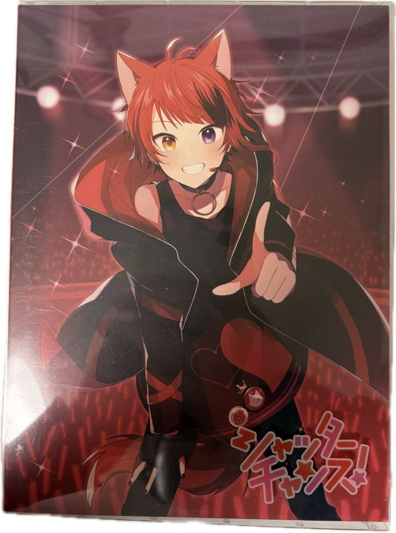 すとぷり 莉犬セット シャッターチャンス！ アルバム・アクキー チェキ風カード