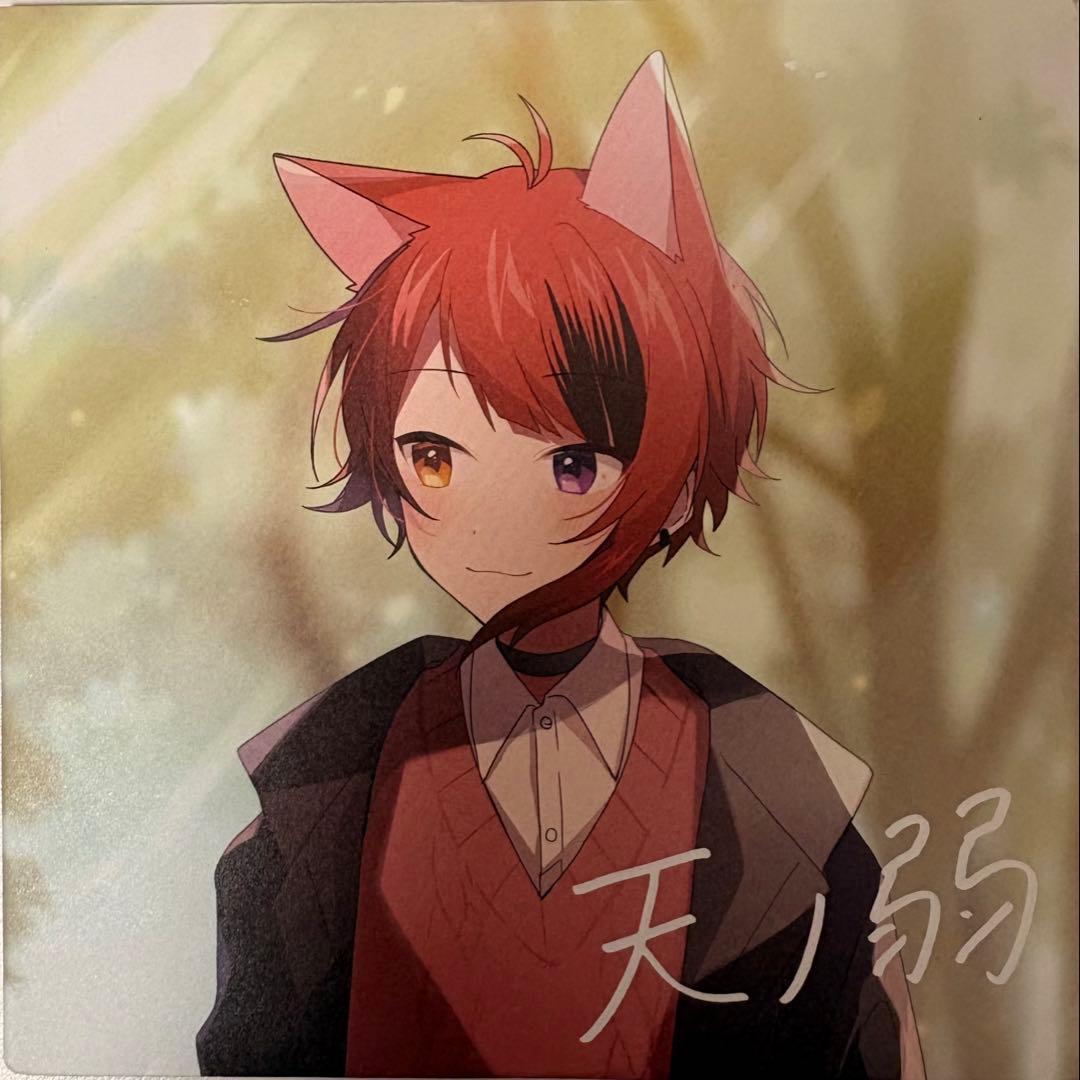 すとぷり 莉犬セット シャッターチャンス！ アルバム・アクキー チェキ風カード