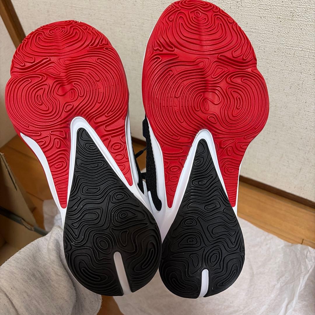 NIKE ズームフリーク3 バスケ