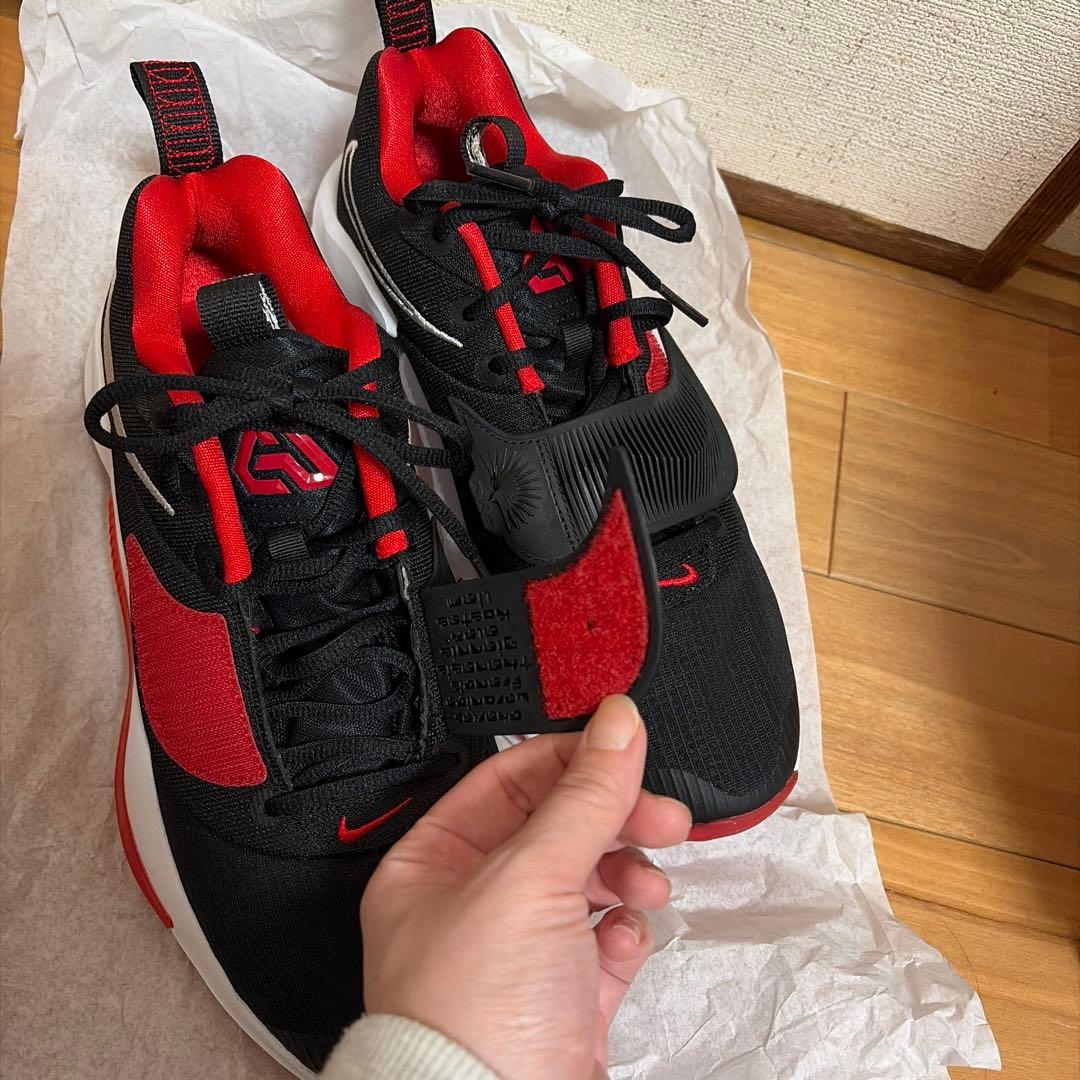 NIKE ズームフリーク3 バスケ