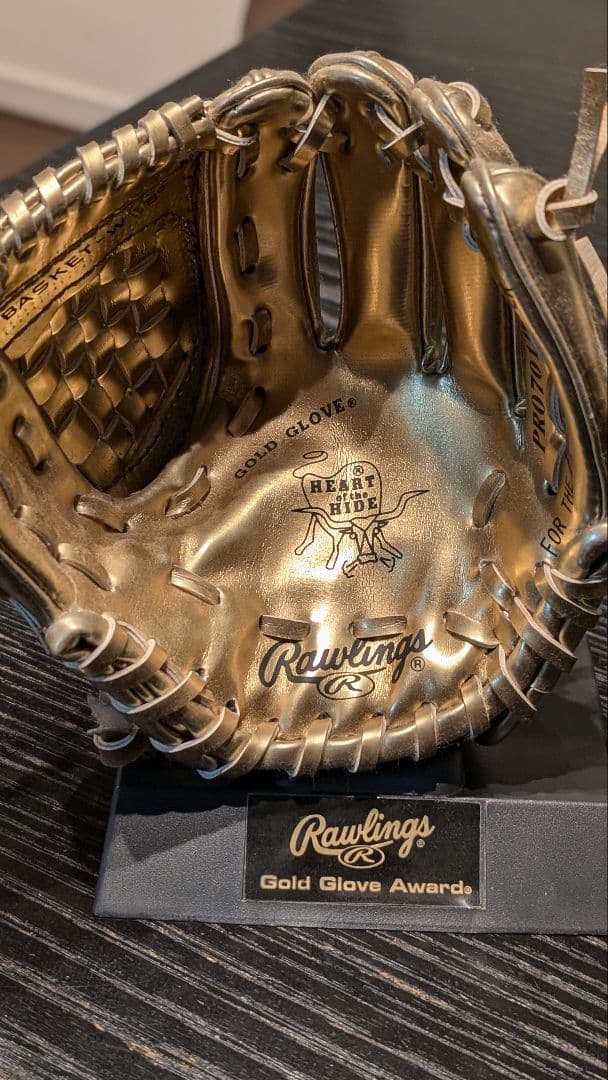 Rawling社製　Gold Glove Awards