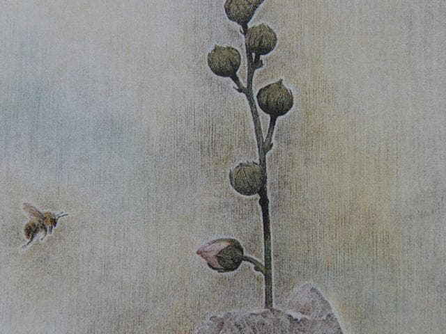 中堀慎治、【花風】、希少な額装用画集画、新品高級額 額装付、状態良好