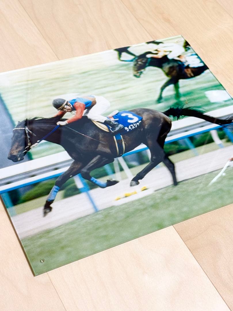 ライスシャワー　アクリルフォト　95年天皇賞春　ウマ娘　JRA 当時物
