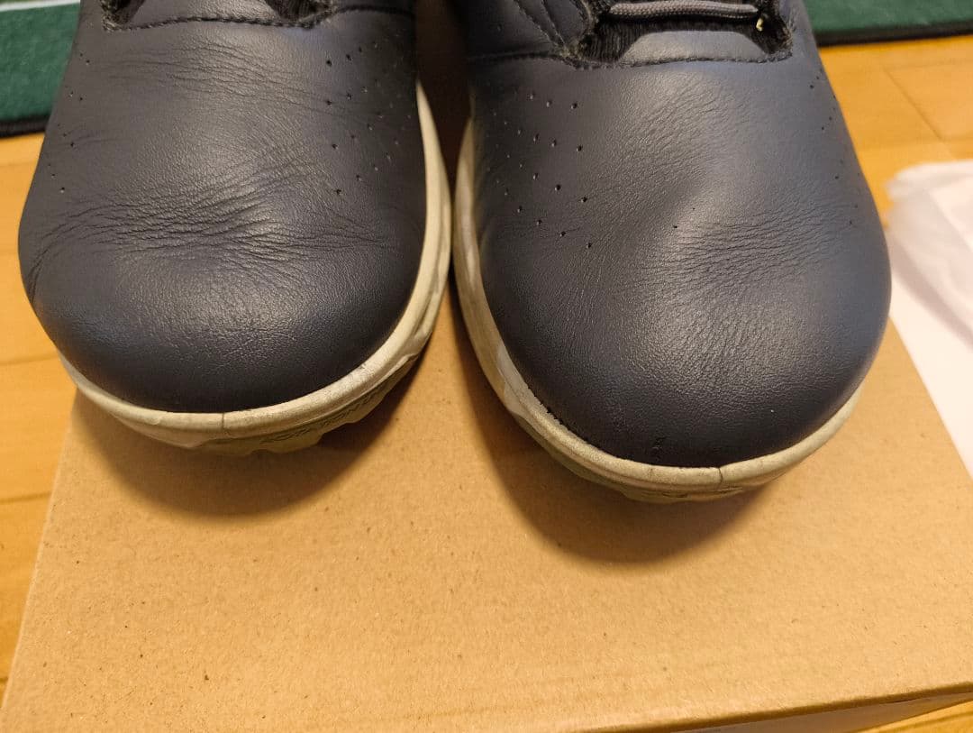 ECCO GOLF バイオム C4 ゴアテックスゴルフシューズ