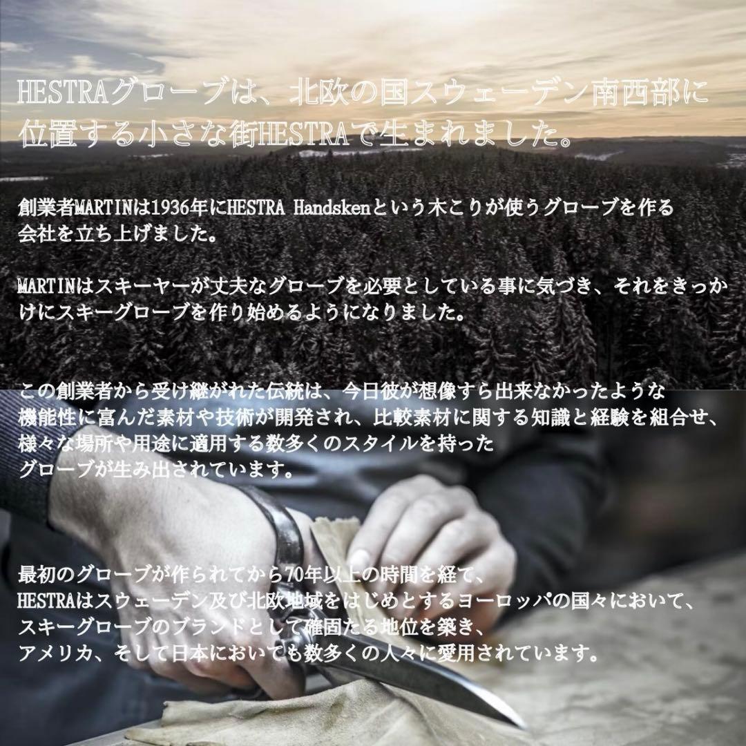 スキー・スノーボードアクセサリー HESTRA 3-FINGER GTX FULL LEATHER