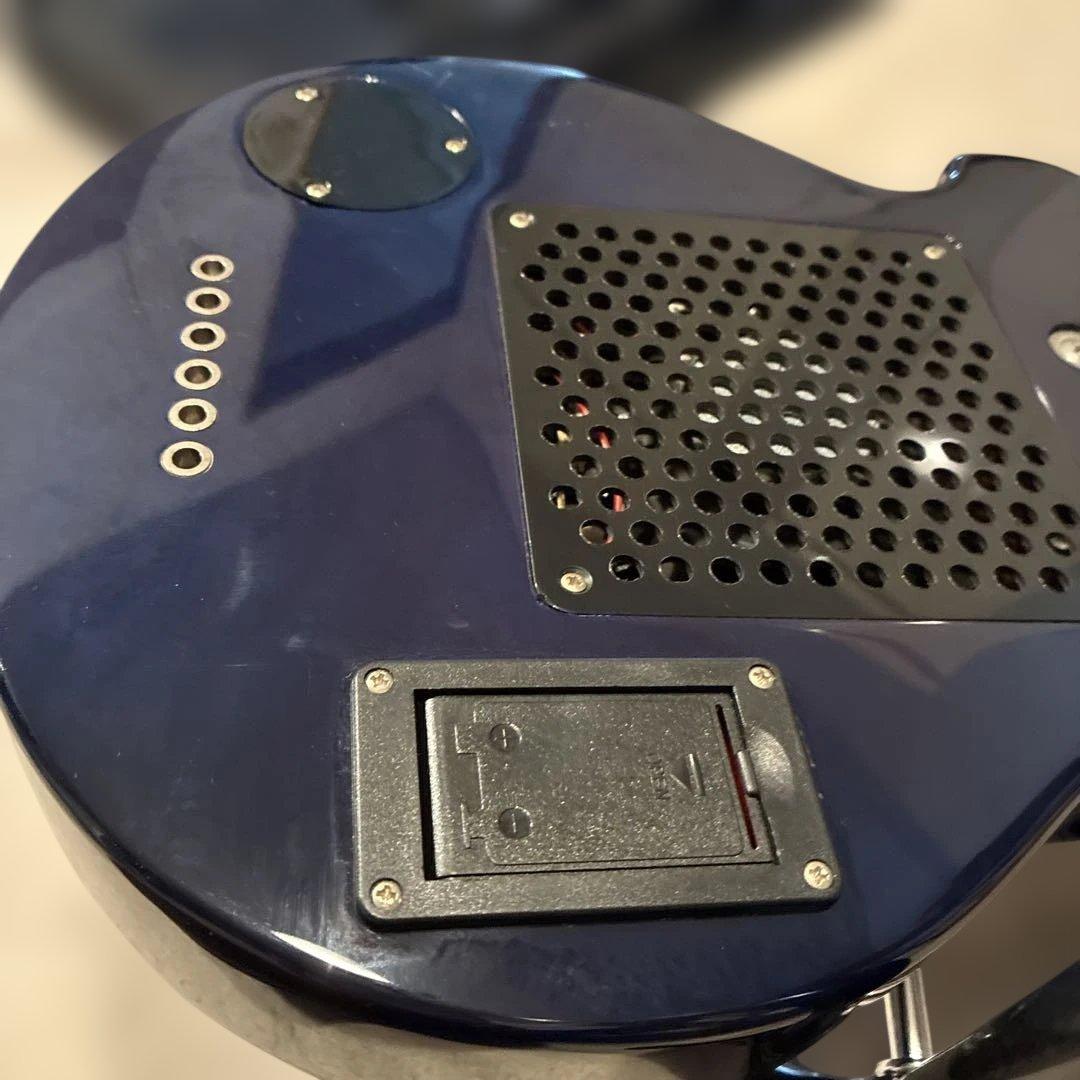 ピグノーズPGG200 ブルー