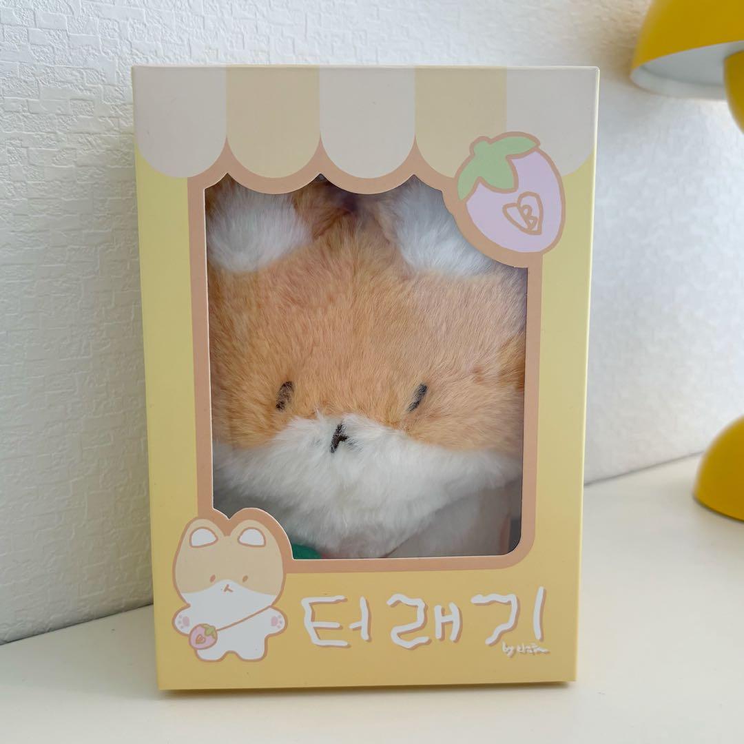 未開封 トレギ ベッキョン