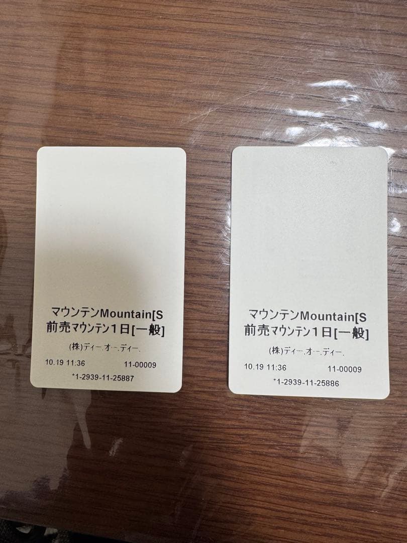 【即発送】斑尾高原スキー場 マウンテンパス リフト券 一日券2枚セット