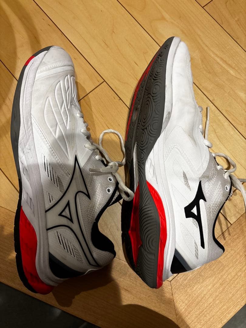 Mizuno ウエーブファング2 バドミントンシューズ 27.5cm