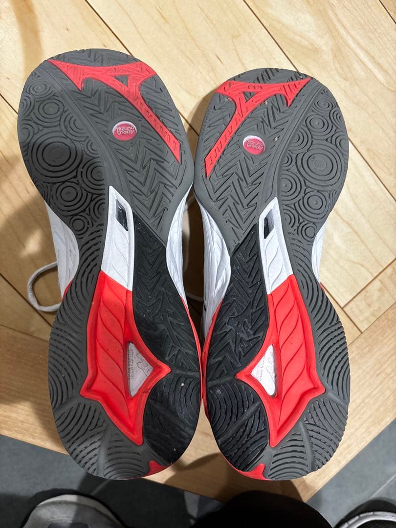 Mizuno ウエーブファング2 バドミントンシューズ 27.5cm