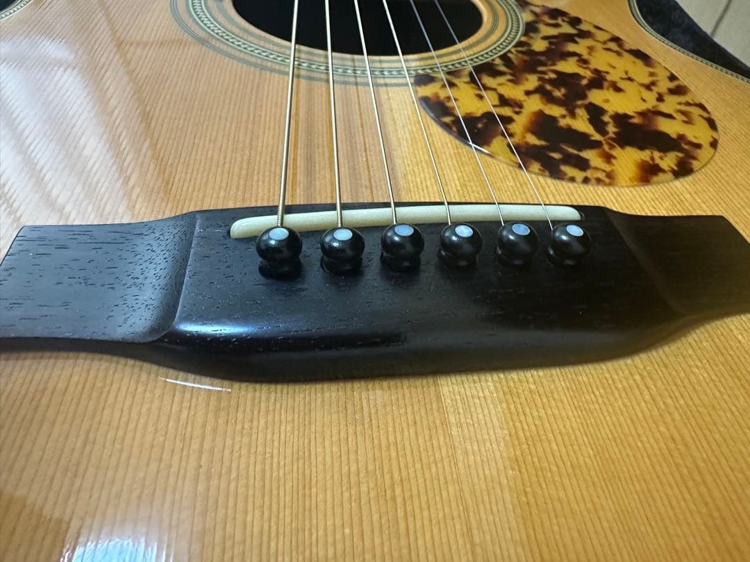 ギター HEADWAY HCF500M