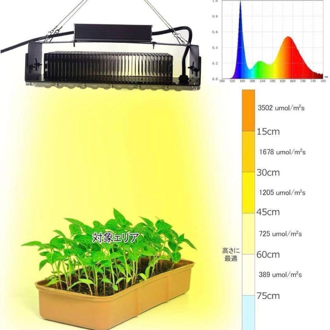 植物育成ライト 2個　フルスペクトル 取付簡単 吊り下げ　100w 多肉植物