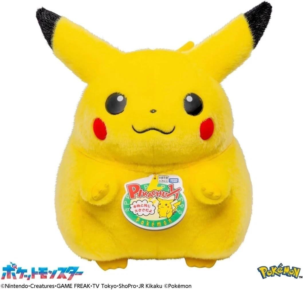ポケモン30周年記念 おかえり!ピカチュウ1/1