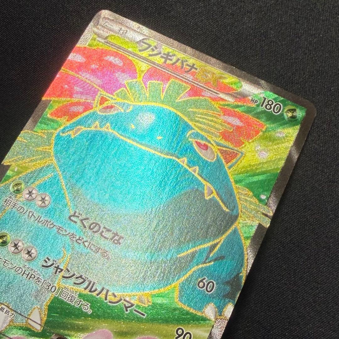 フシギバナEX カメックスEX XY1 SR 1stED