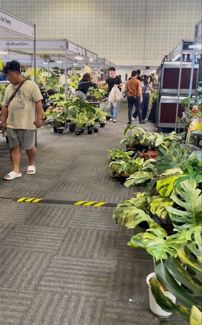 タイ植物イベントオリジナル水筒