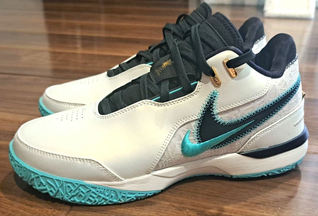 【希少サイズ・美品】NIKE LEBRON NXXT GEN AMPD EP