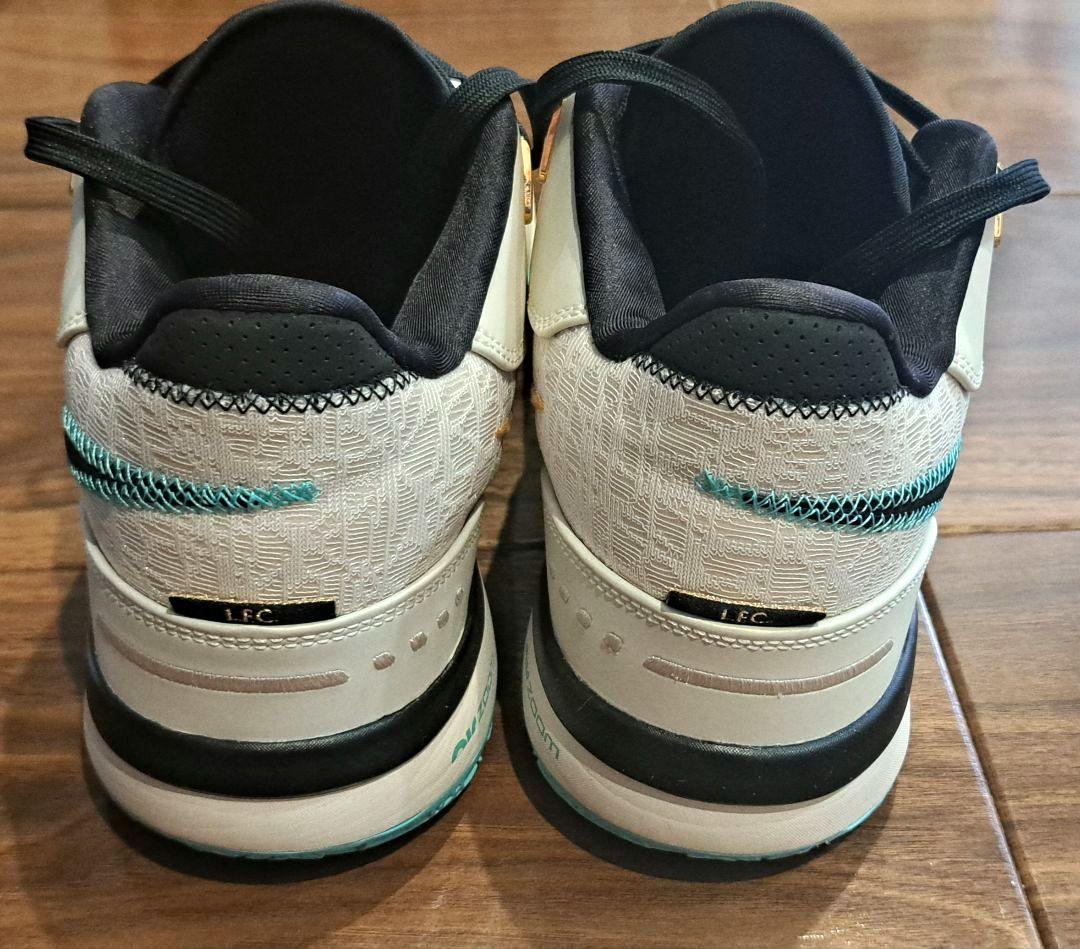 【希少サイズ・美品】NIKE LEBRON NXXT GEN AMPD EP