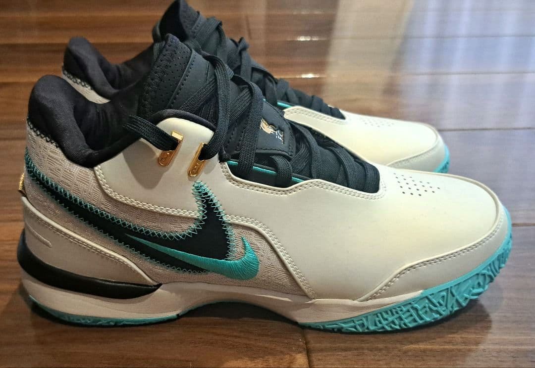 【希少サイズ・美品】NIKE LEBRON NXXT GEN AMPD EP
