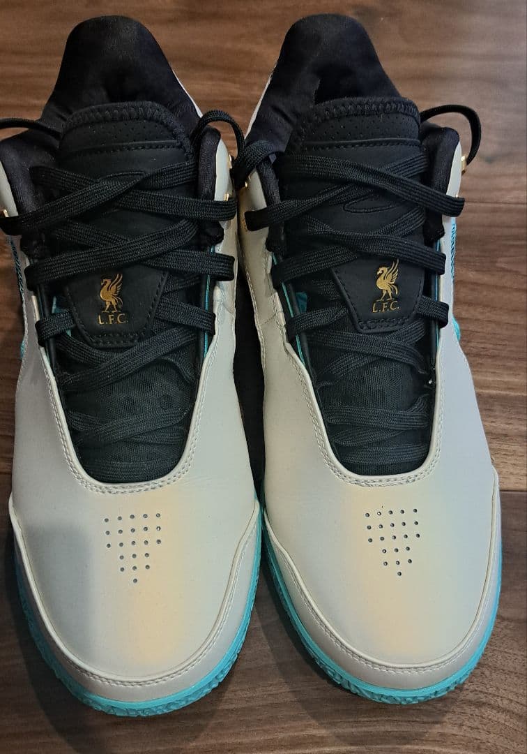 【希少サイズ・美品】NIKE LEBRON NXXT GEN AMPD EP