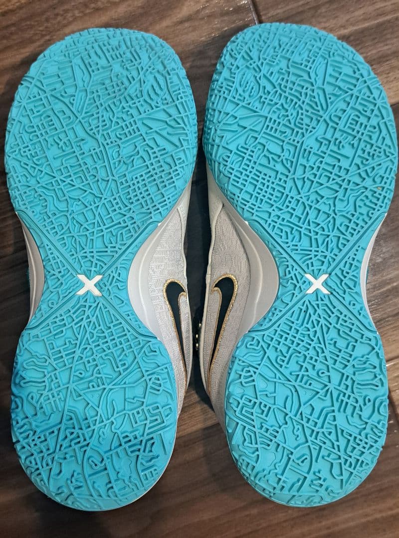 【希少サイズ・美品】NIKE LEBRON NXXT GEN AMPD EP