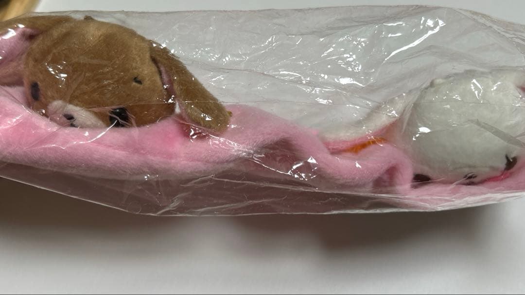 シュガバニ　シュガーバニーズティッシュカバー　サンリオ　しろうさ　くろうさ