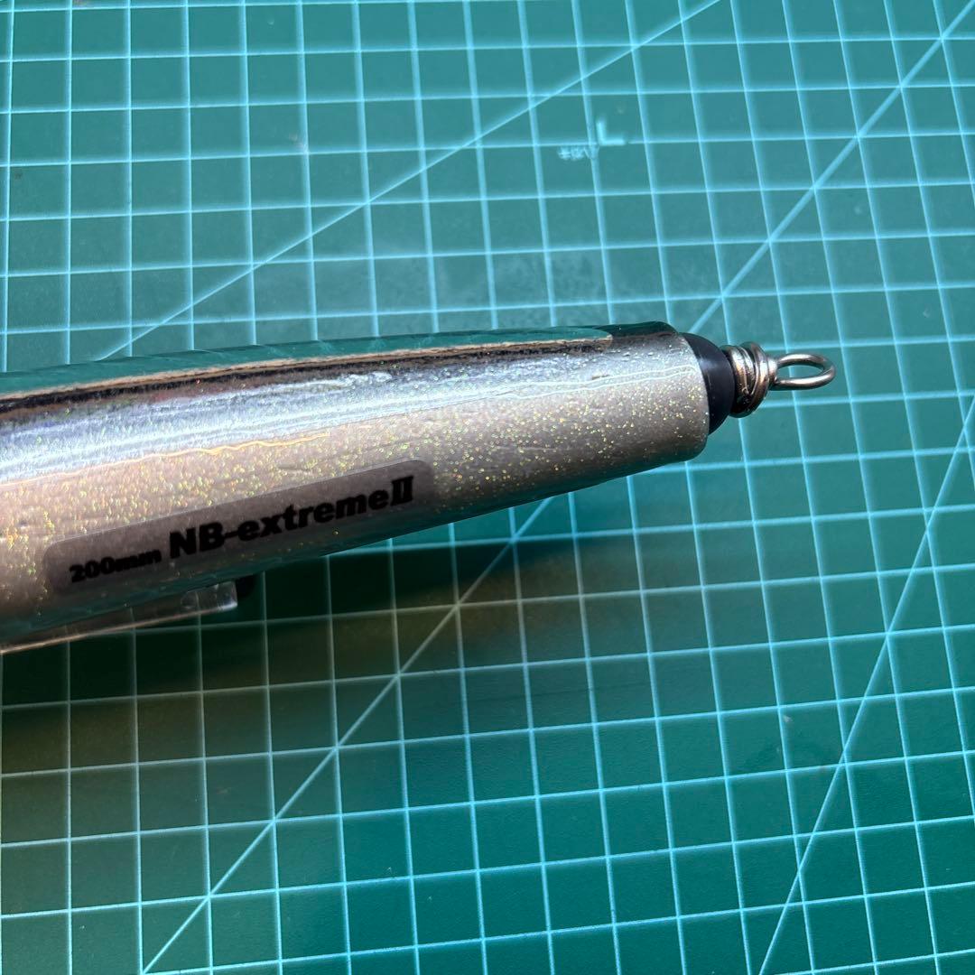 BF100-200 NB EXTREME II カーペンター