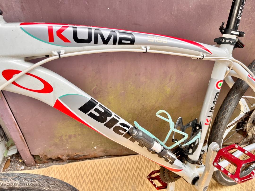 ③【送料無料】Bianchi ビアンキ KUMA 5100 19インチ