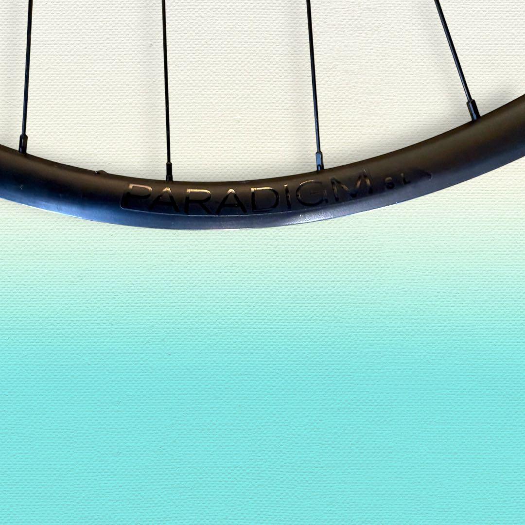 Bontrager Paradigm SL リム内幅21mm Discホイル