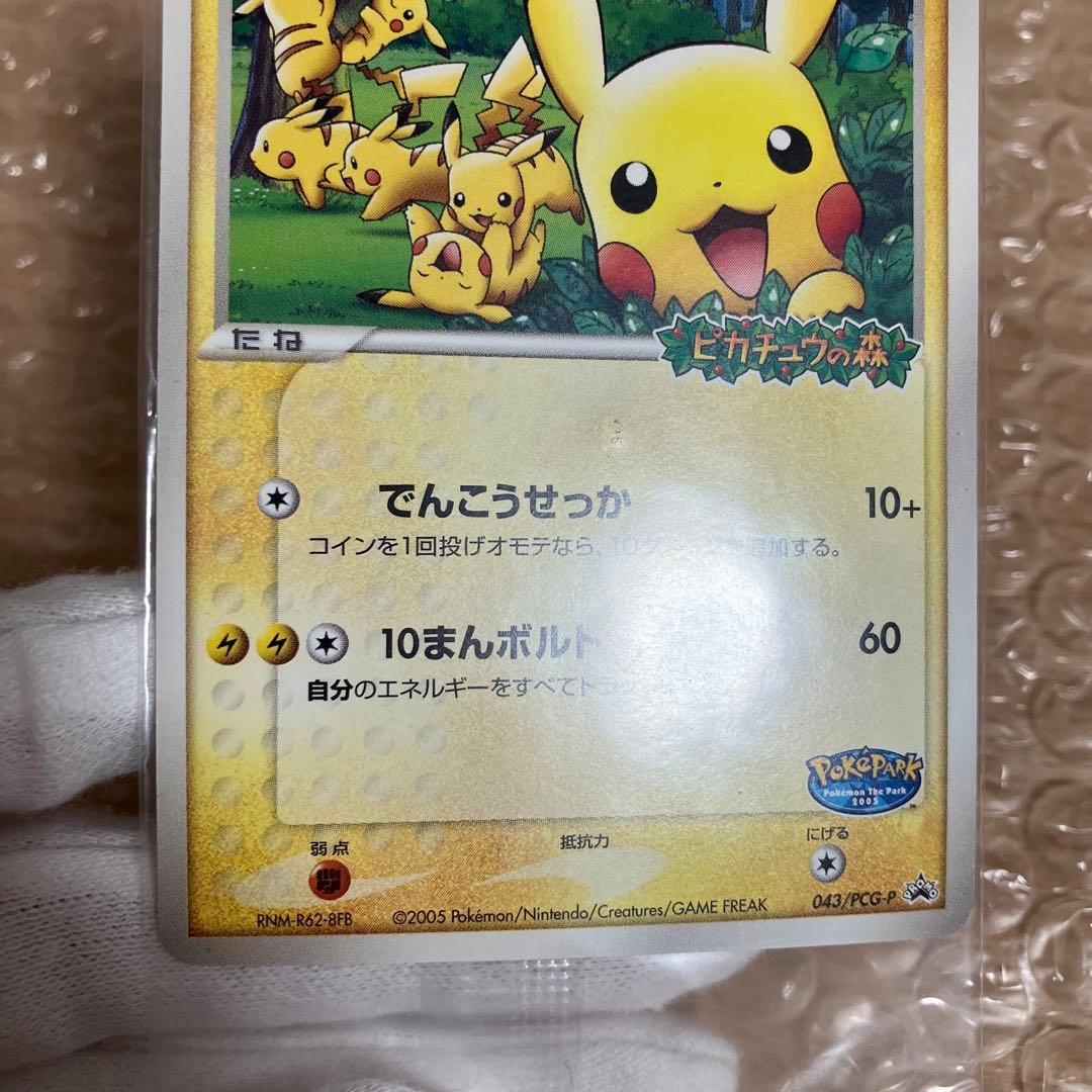 ポケパークのピカチュウ 未開封 043/pcg-p ピカチュウの森