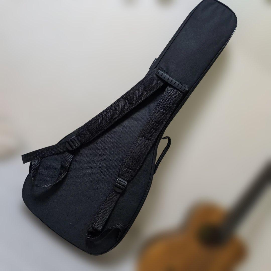 【超美品】aNueNue Bird M 3 アコースティックギター＆ギターケース