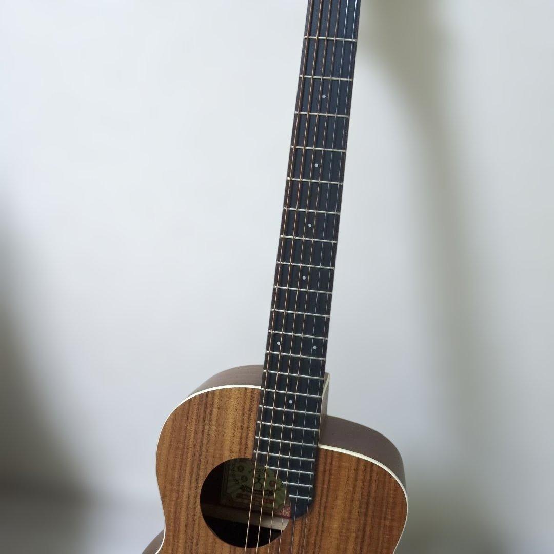 【超美品】aNueNue Bird M 3 アコースティックギター＆ギターケース