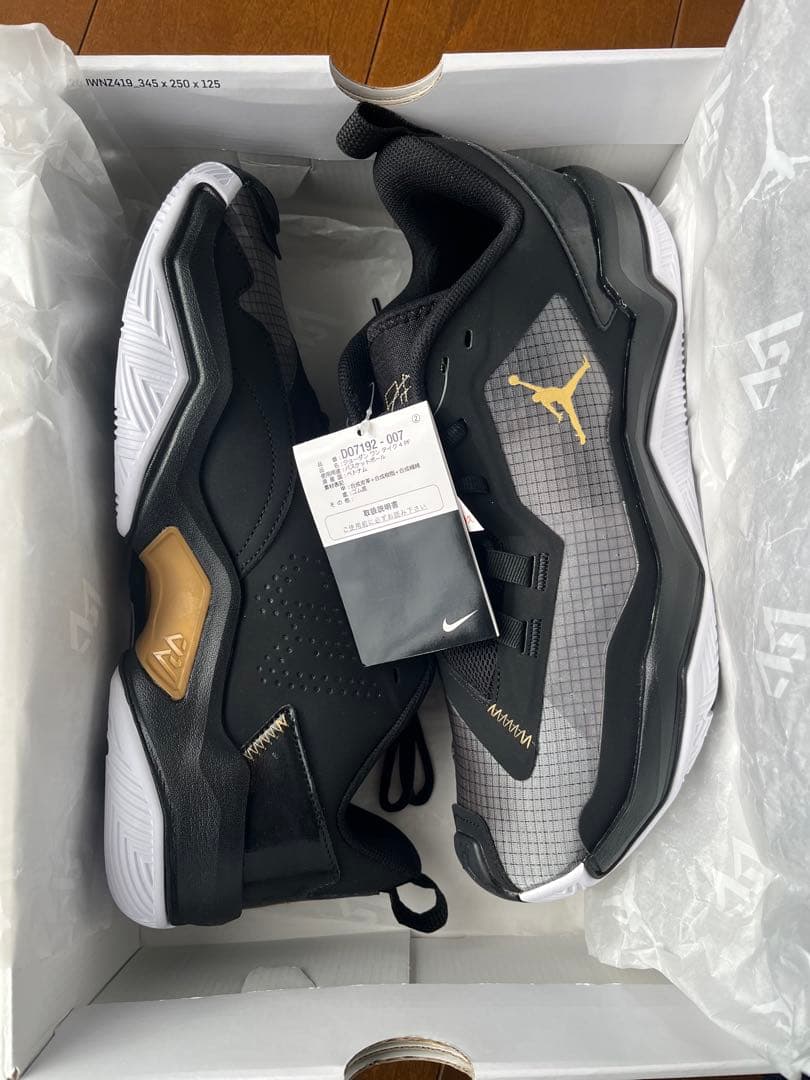 Jordan ワンテイク　4PF