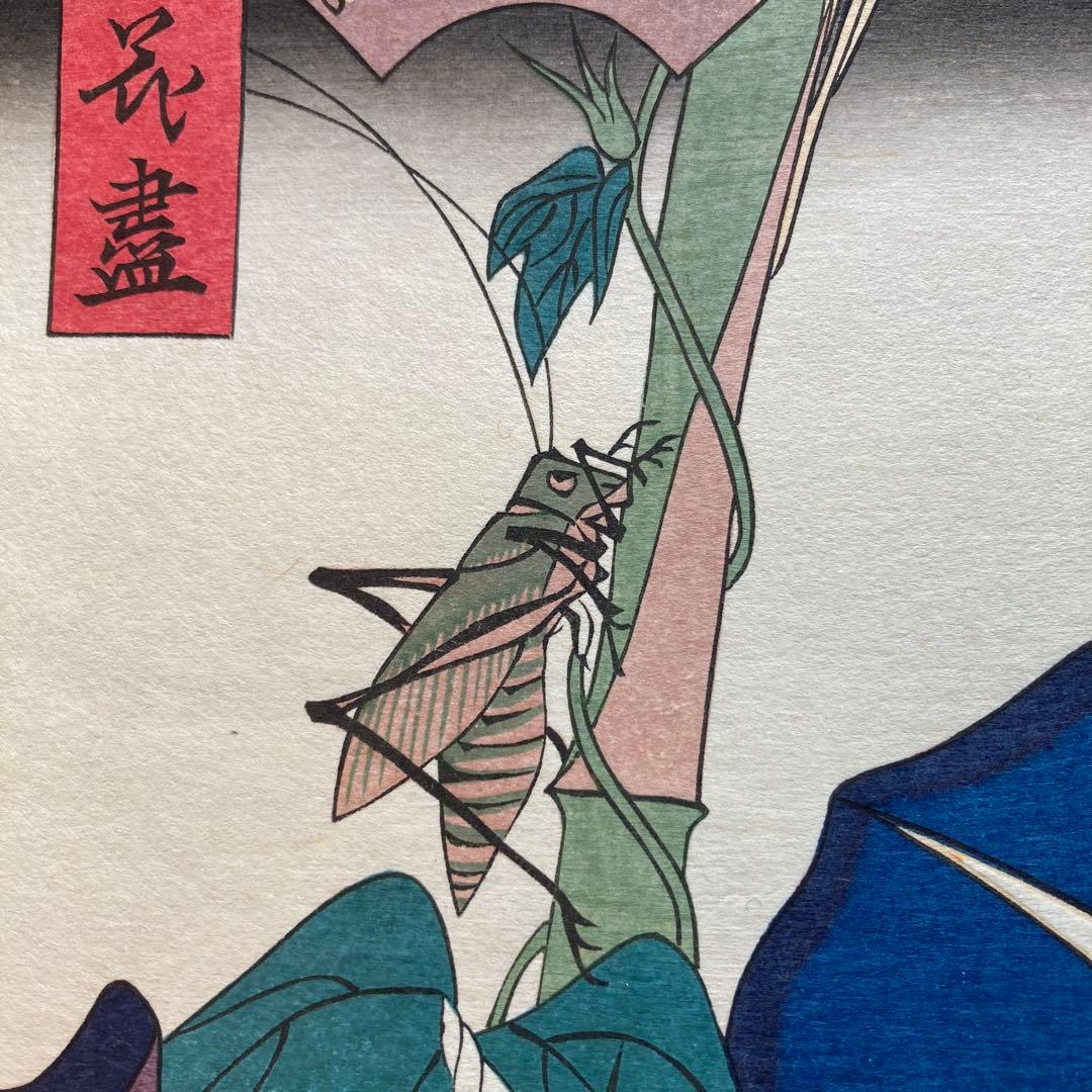 安藤広重「四季の花尽 朝顔」木版画 団扇絵 額約40×55浮世絵23×29cm￼
