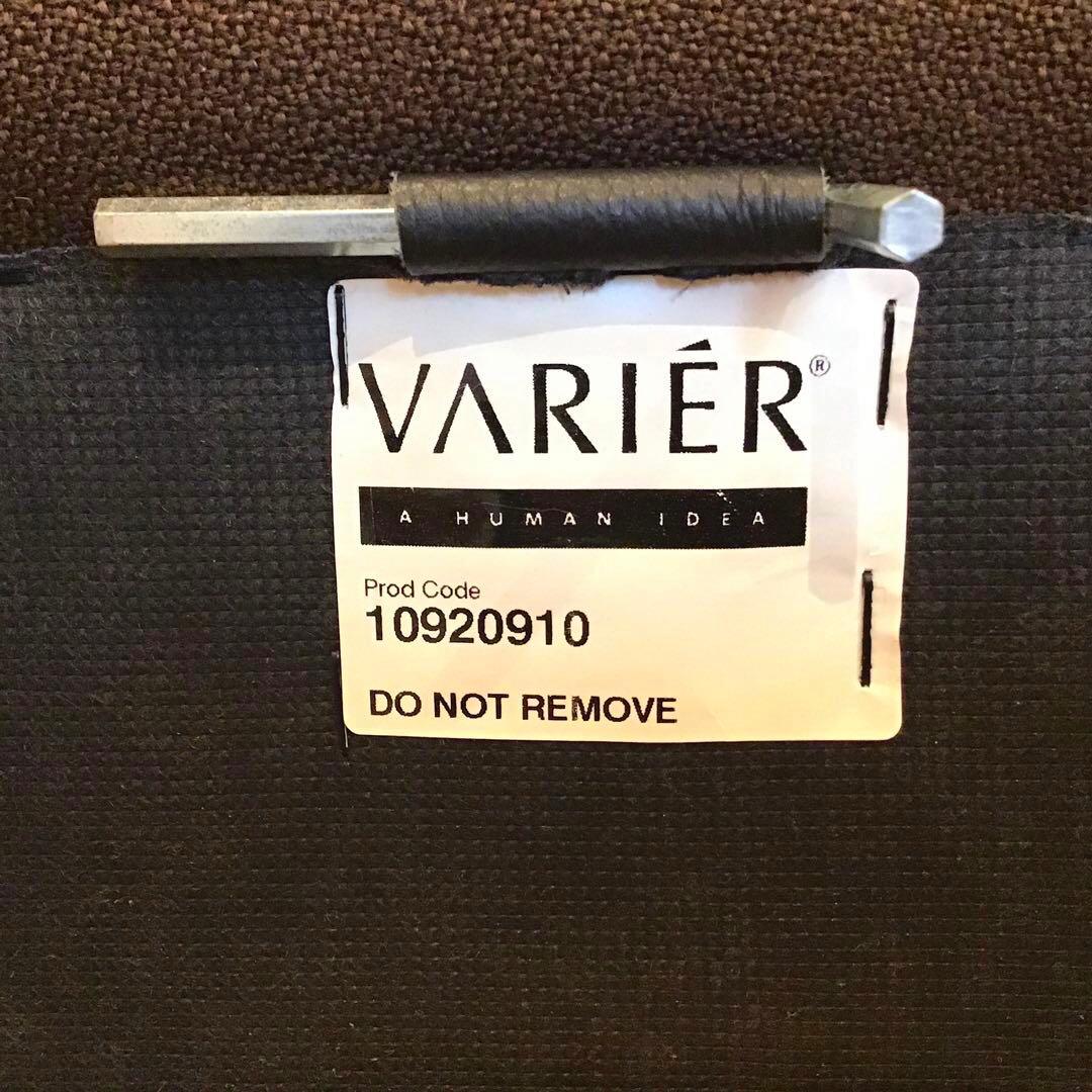 VARIERヴァリエール　ウィング　バランスチェア