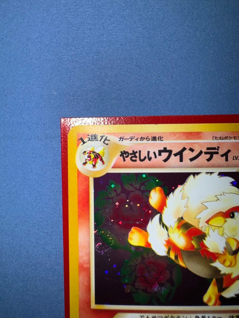 やさしいウインディ 旧裏 ★ 拡張パック第4弾 闇、そして光へ…