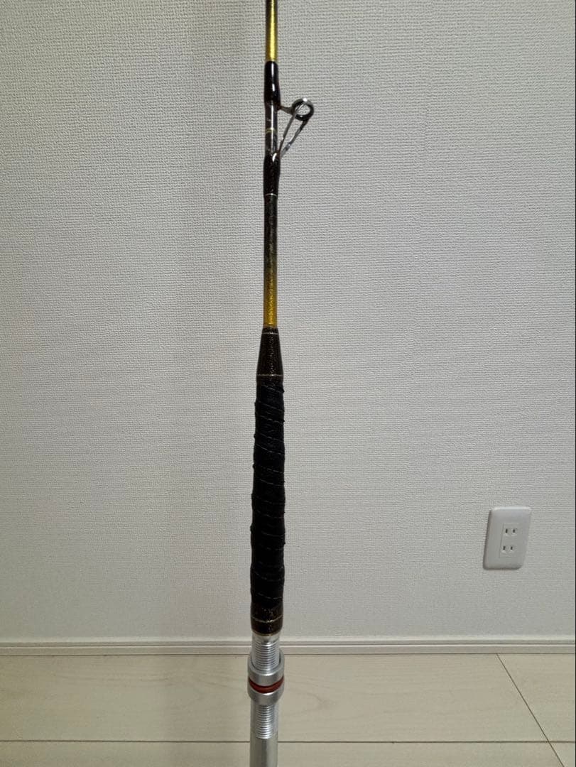 剛樹　インビクタマダイ T2 235cm