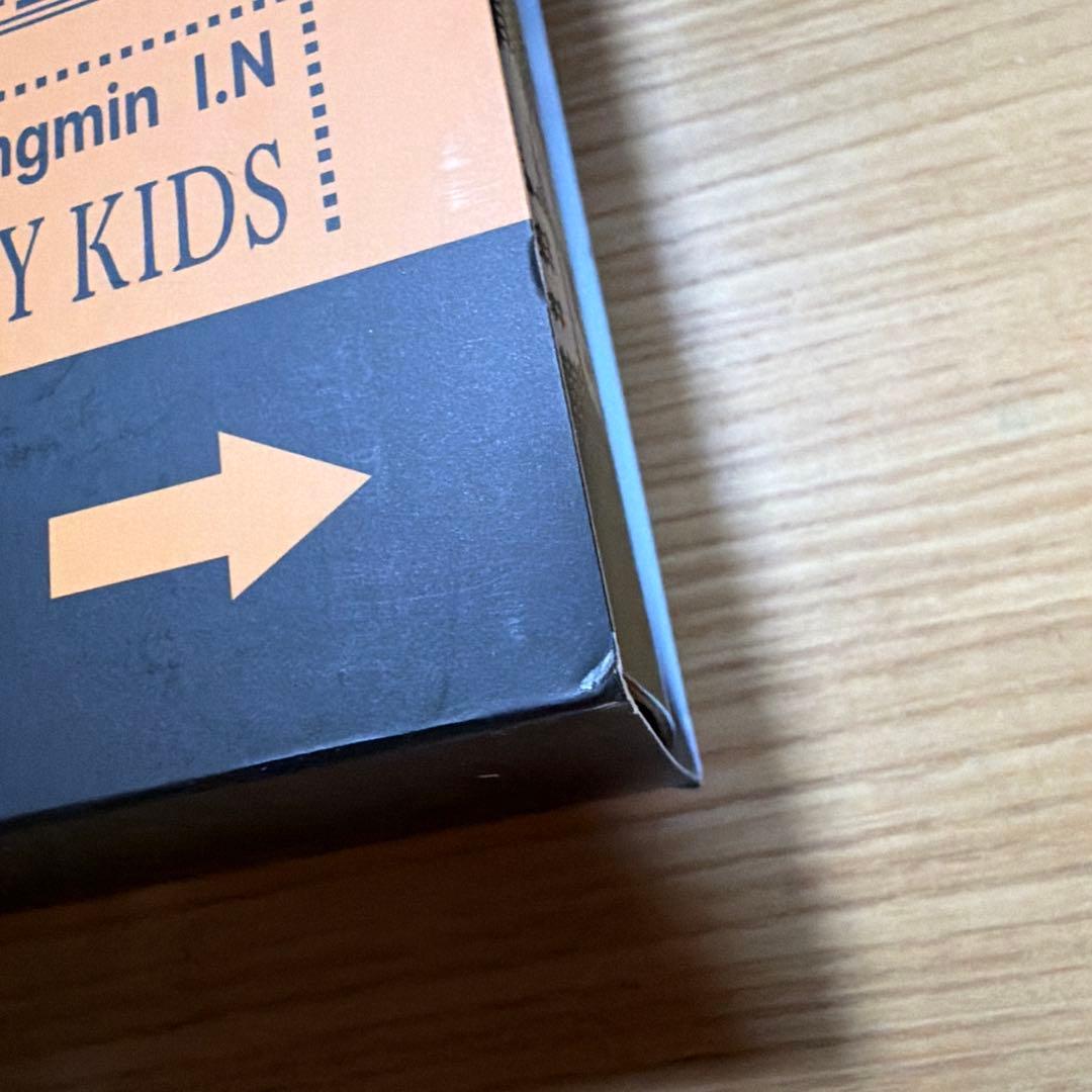straykidsシーグリ2点セット