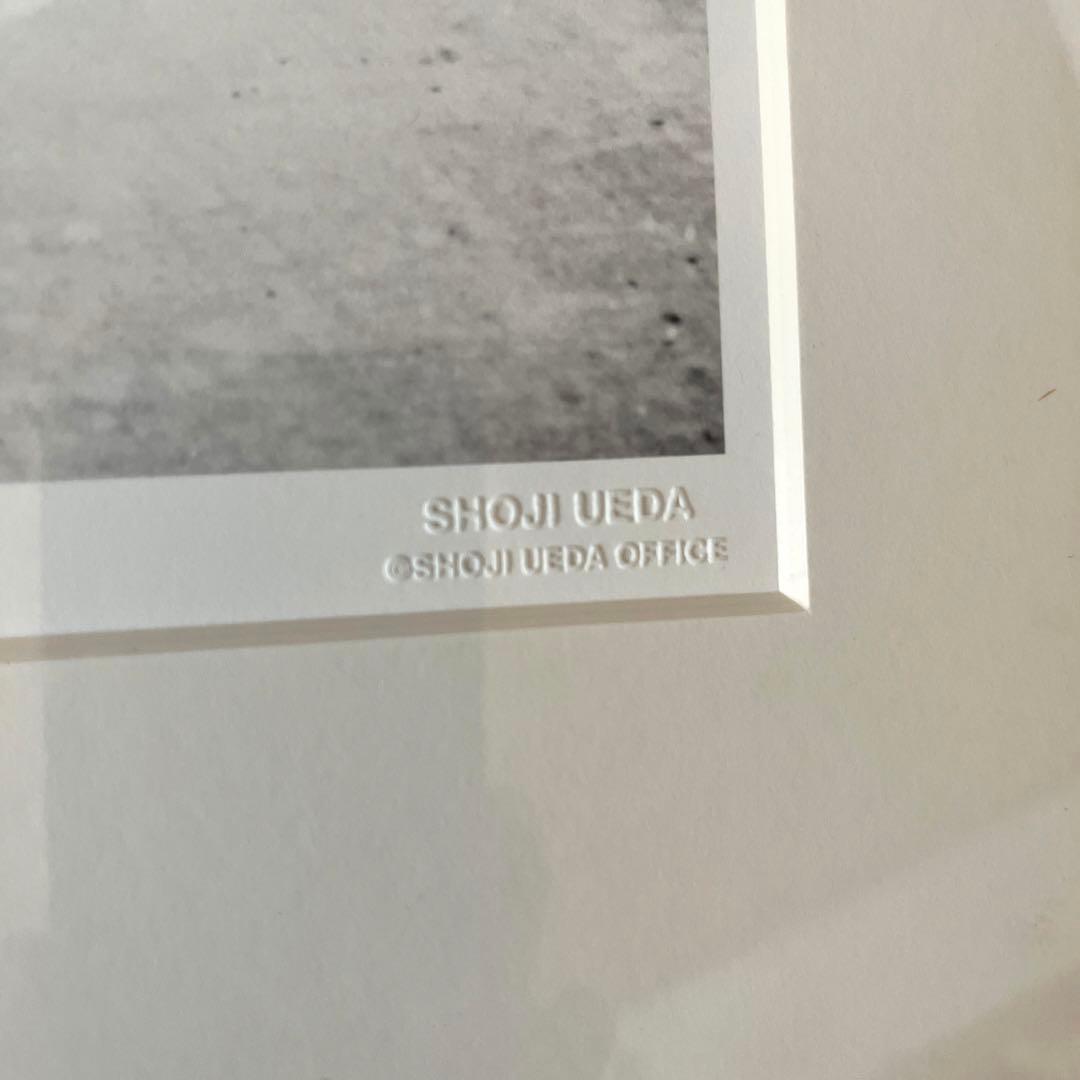 植田正治 「シリーズ「童暦」より」　Shoji Ueda　　森山大道
