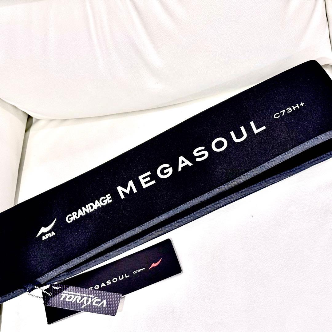 APIA MEGASOUL グランデージ メガソウル C73H+ シーバスロッド