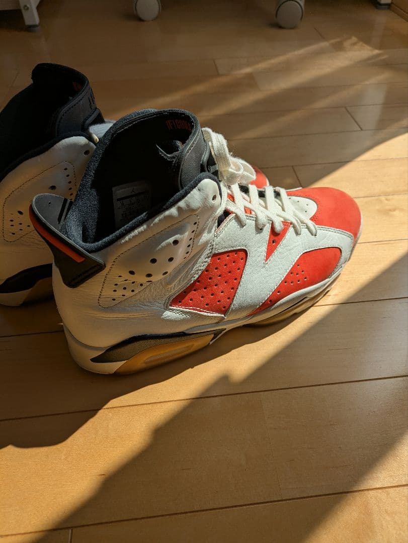 NIKE Air Jordan 6 Retro 28センチ