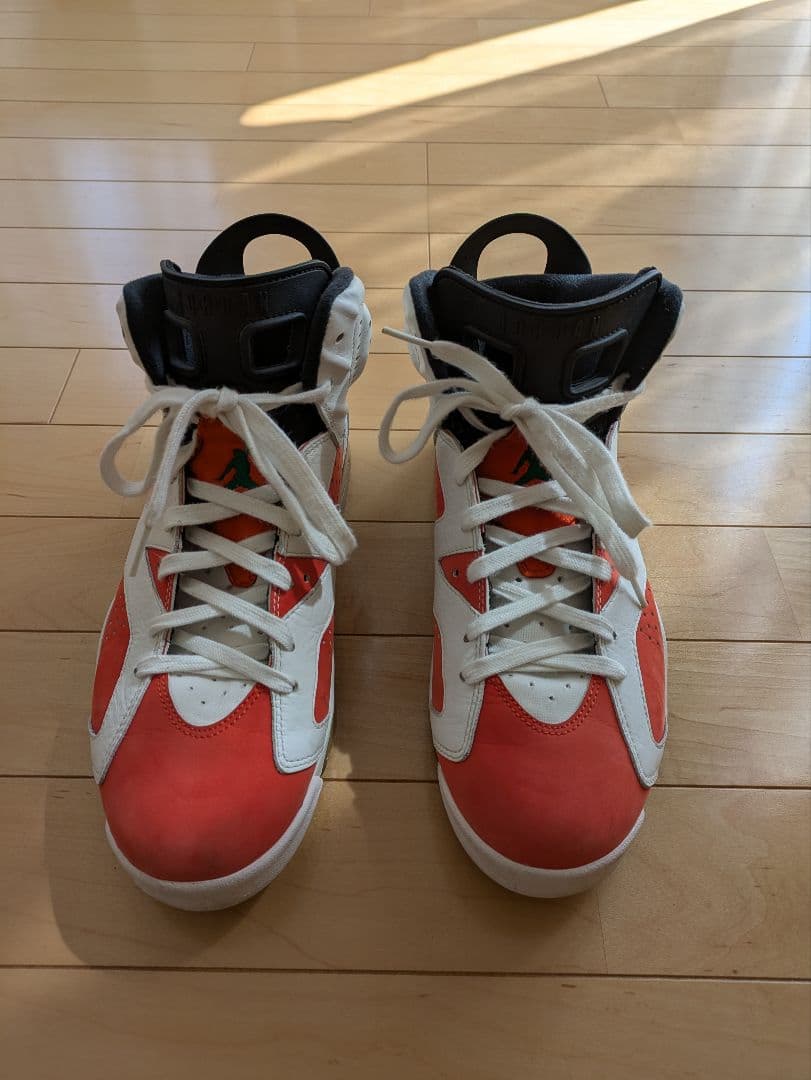 NIKE Air Jordan 6 Retro 28センチ
