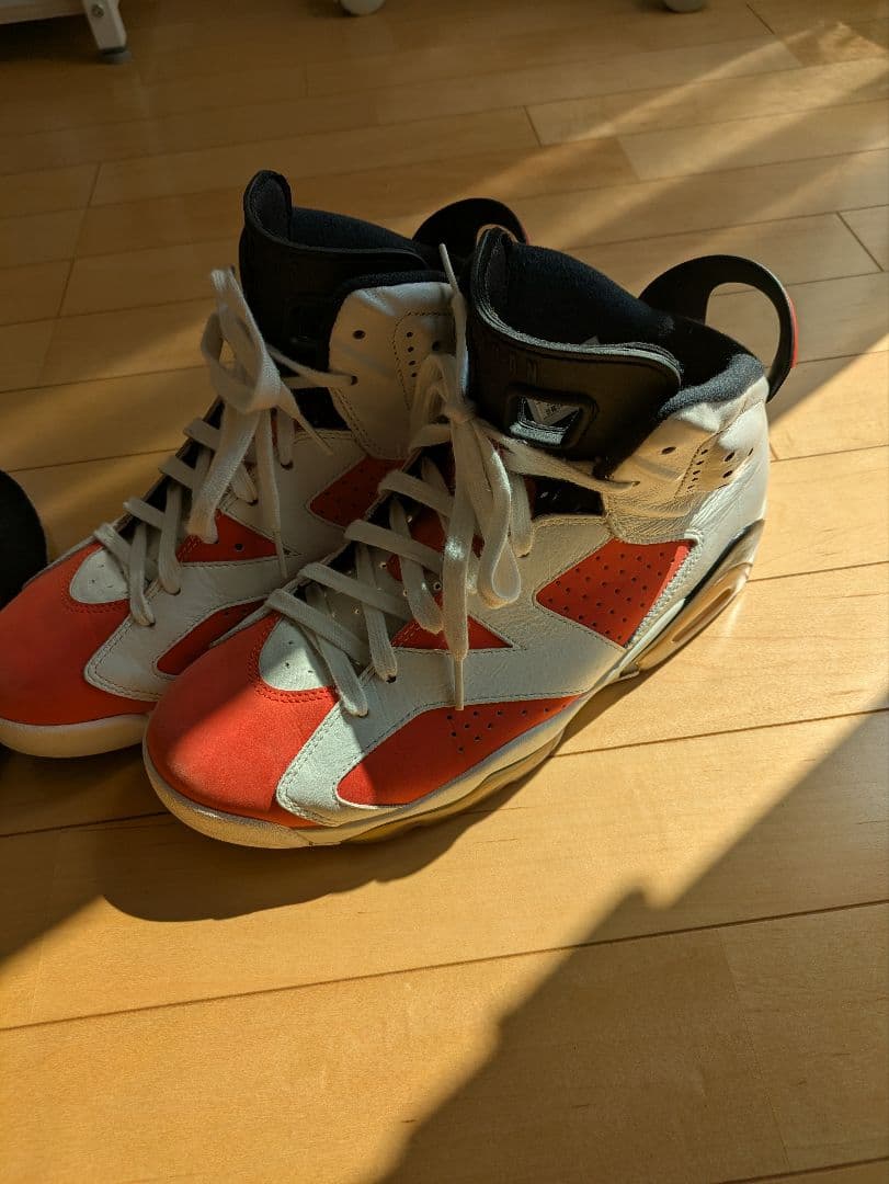 NIKE Air Jordan 6 Retro 28センチ